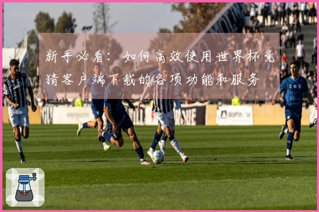 新手必看：如何高效使用世界杯竞猜客户端下载的各项功能和服务