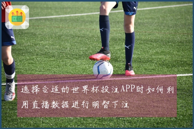 选择合适的世界杯投注APP时如何利用直播数据进行明智下注