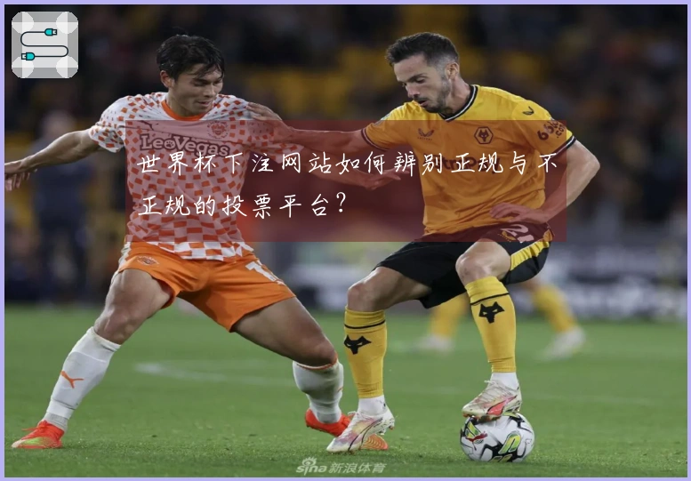 世界杯下注网站如何辨别正规与不正规的投票平台？