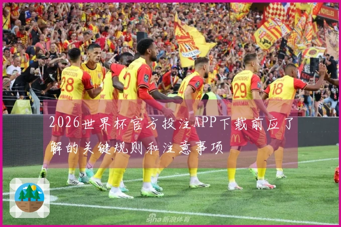 2026世界杯官方投注APP下载前应了解的关键规则和注意事项