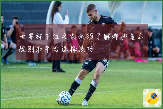 世界杯下注之前必须了解哪些基本规则和平台选择技巧