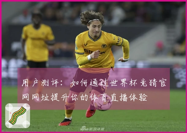 用户测评：如何通过世界杯竞猜官网网址提升你的体育直播体验