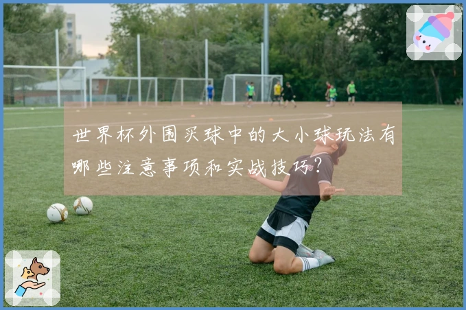 世界杯外围买球中的大小球玩法有哪些注意事项和实战技巧？