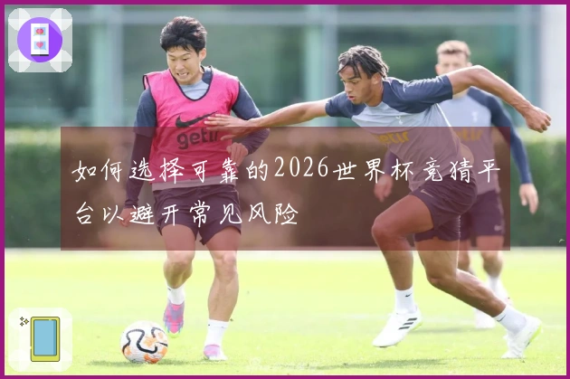 如何选择可靠的2026世界杯竞猜平台以避开常见风险