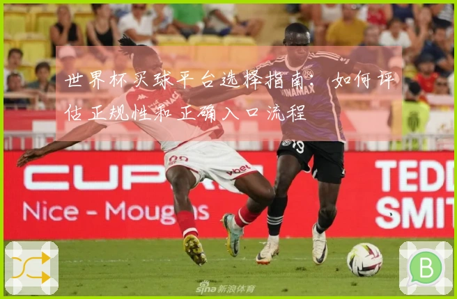 世界杯买球平台选择指南：如何评估正规性和正确入口流程