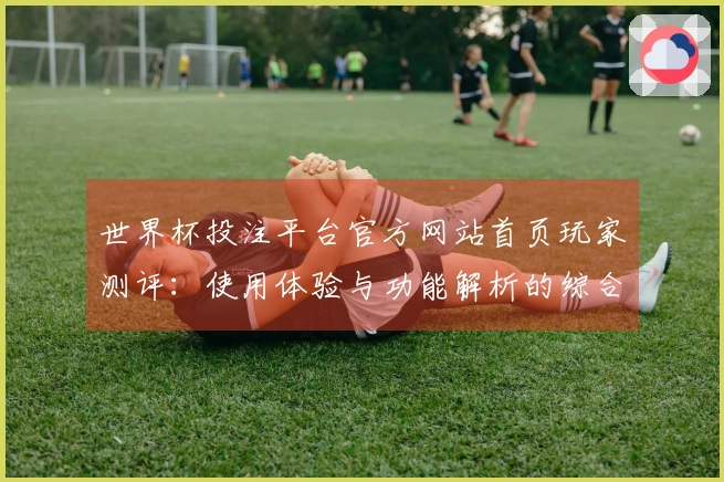 世界杯投注平台官方网站首页玩家测评:使用体验与功能解析的综合评估