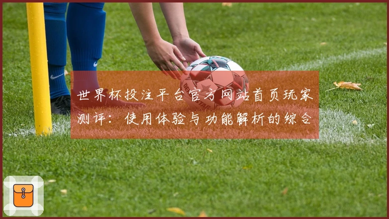 世界杯投注平台官方网站首页玩家测评：使用体验与功能解析的综合评估