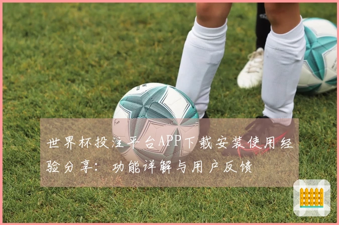世界杯投注平台APP下载安装使用经验分享：功能详解与用户反馈