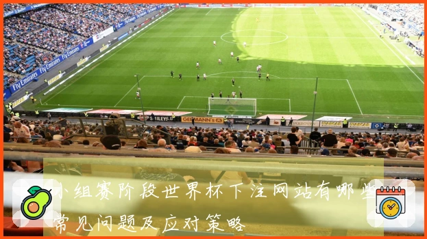 小组赛阶段世界杯下注网站有哪些常见问题及应对策略