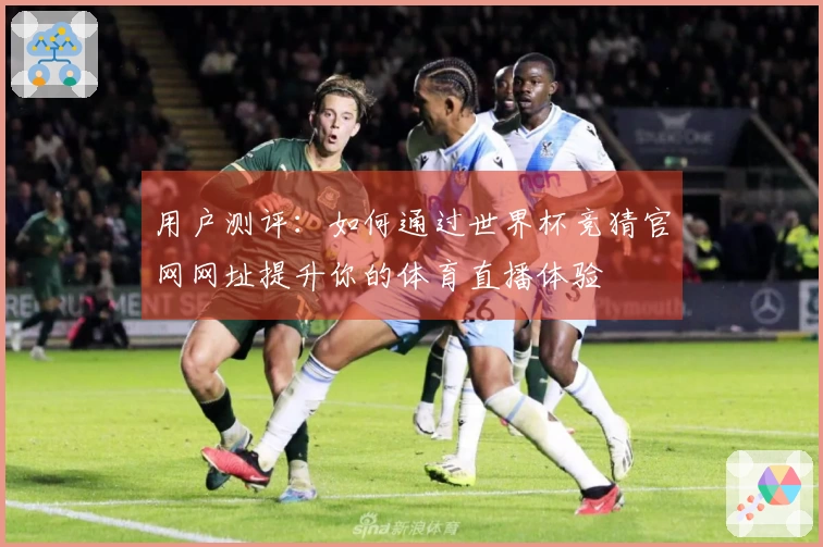 用户测评：如何通过世界杯竞猜官网网址提升你的体育直播体验