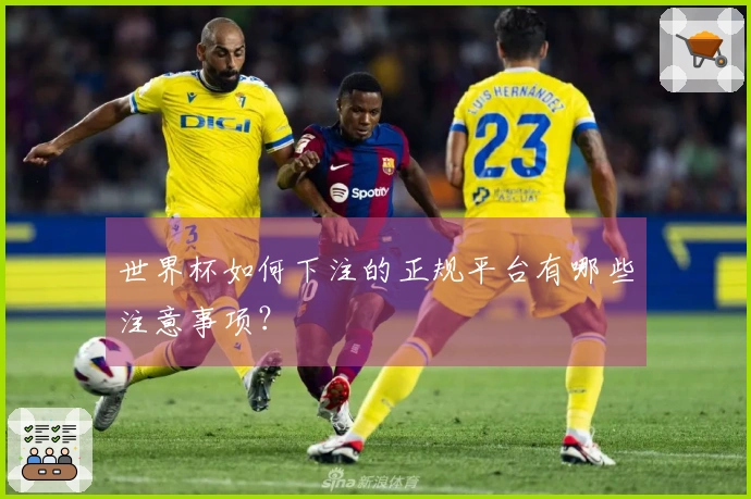 世界杯如何下注的正规平台有哪些注意事项？