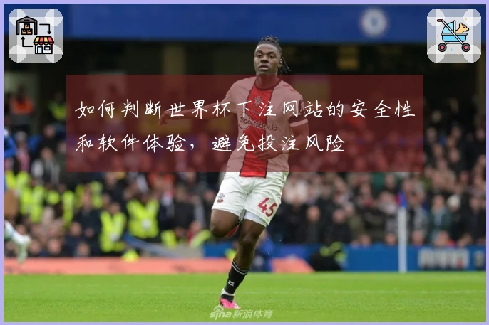 如何判断世界杯下注网站的安全性和软件体验，避免投注风险