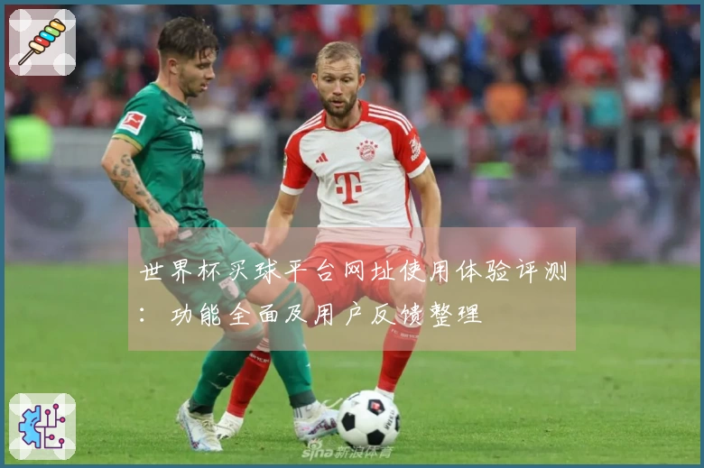 世界杯买球平台网址使用体验评测：功能全面及用户反馈整理