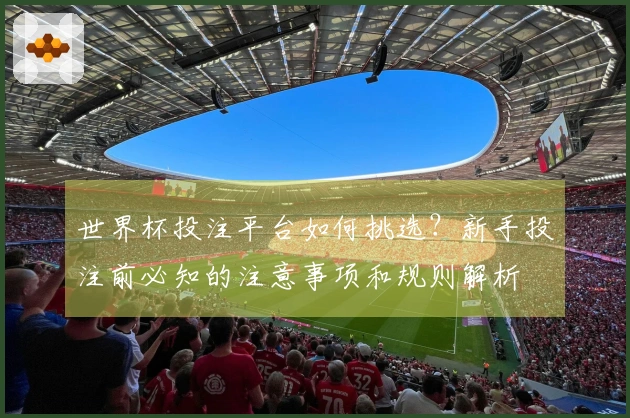 世界杯投注平台如何挑选？新手投注前必知的注意事项和规则解析